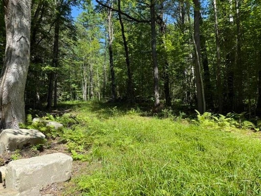 362 MERO RD, VERSHIRE, VT 05079 - Image 0ce59401aa39e12ecf4f7a767a1d60d6/1135008705