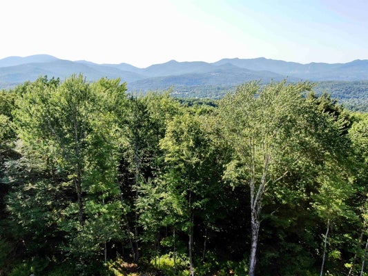 500 AYERS FARM RD, STOWE, VT 05672 - Image 0fd6c78a32c1dd13e2b676ce48185627/861075845