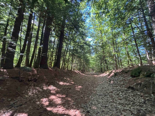 15 WINDFALL RD, HILL, NH 03243 - Image 146fa24e04f1d4187f5a7cf7b5a4faa0/3073322074