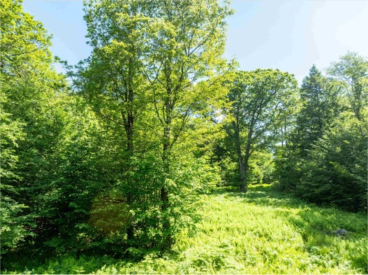 188 TURTLE HILL RD, LUDLOW, VT 05149 - Image 14efb59bf9a2b83ee82ef2176a8dfd85/1504846178