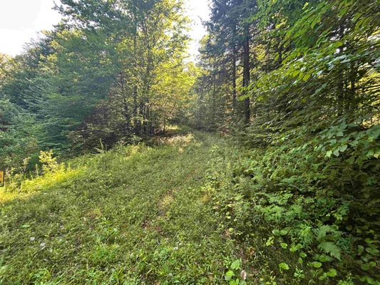 ROSE LN, SOUTH LONDONDERRY, VT 05155 - Image 1c6f088cdd9bc04737dc9f7dbb0233a5/833066366