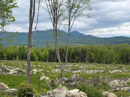 64 GIBBS RD, NEWPORT CENTER, VT 05857 - Image 1e08dfbdceabdbf1001c71c3168dbabd/3173262696