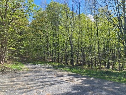 50 BILL T DR, READSBORO, VT 05350 - Image 20c2a570f65012f2ee7f46e611bc50dd/698323755