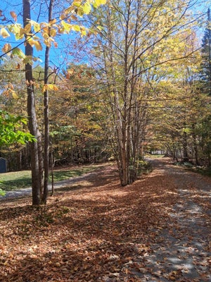 576 AGASSIZ ST, BETHLEHEM, NH 03574 - Image 21e25875b2c367aaa71b7c243c055da0/588011472