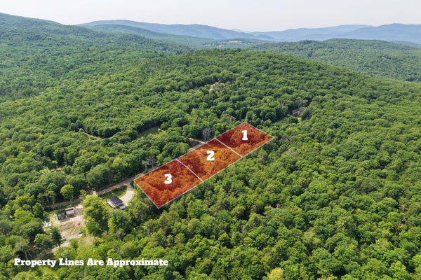 ADDRESS PRIVATE, PLYMOUTH, NH 03264 - Image 2f8b82fe6838d4d37969f07e90ff46d3/222318675