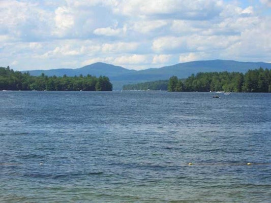 22 ELLEN LN, BRISTOL, NH 03222 - Image 307f11901ac1a091f5abf1462b7b91e4/2669114420