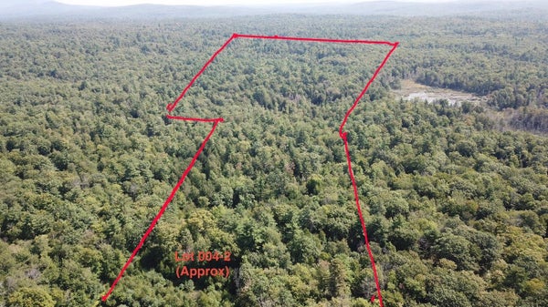 2 FAY MARTIN RD, RICHMOND, NH 03470 - Image 31166d29fa9d65eaeaa21e46ed54f2a1/3093286479