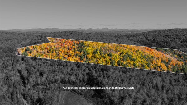88 OLD MAN MOUNTAIN RD LOT 6, SAINT JOHNSBURY, VT 05819 - Image 31aa05e4a50f78a42f01bb3c2f5fd327/2800677698