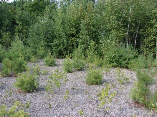 ADDRESS PRIVATE, BATH, NH 03740 - Image 35de1c832c8eb88d0696f0fe2103e389/751323242