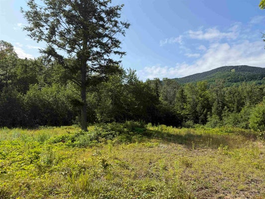 1559 PINKHAM RD # 3, EAST BURKE, VT 05832 - Image 36e85f7326a01d34e52c71e6fbbd0a1f/4069841905