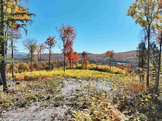 29 ANNIS RD, GROTON, VT 05046 - Image 39a61146440a7df4c0fb0fbead2eab0e/36836592