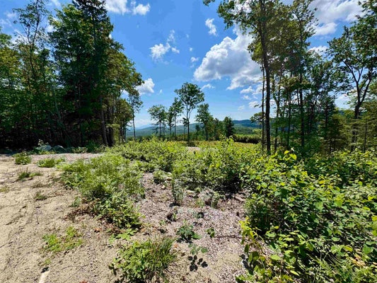 29 ANNIS RD, GROTON, VT 05046 - Image 39a61146440a7df4c0fb0fbead2eab0e/627735489