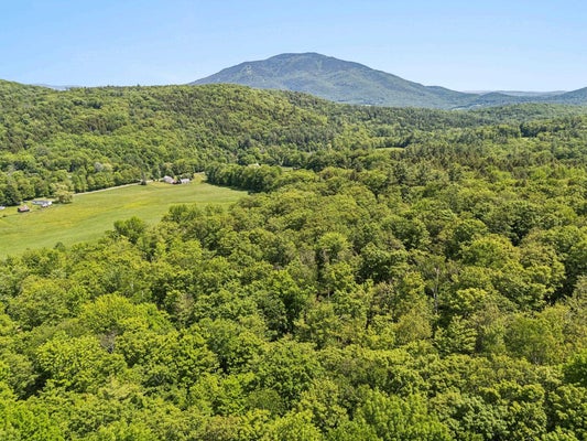 1503 RUSH MEADOW RD, READING, VT 05062 - Image 3fb441bf7aa007d68cd4cd5793867d88/1531820363