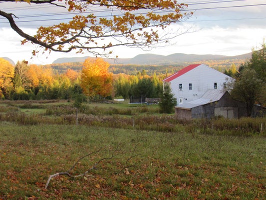 786 DUTTON BROOK LN, ORLEANS, VT 05860 - Image 4591b54a0f70481dc3a1fefffd1e3c9a/3636622798