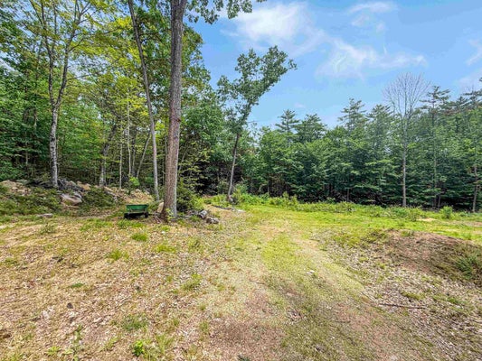 20 1 POINT RD, MOULTONBOROUGH, NH 03254 - Image 45f5cf7e00ed32ef2775e281582bdb67/1281978474