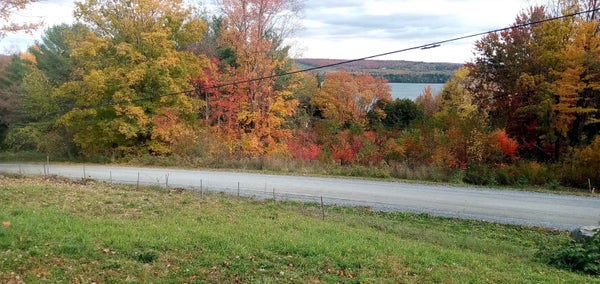 52 SANDY BAY RD, FRANKLIN, VT 05457 - Image 461bf87b96ca093757e5fd55b31dd4d7/3896649921
