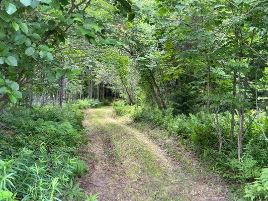 RICHARD WOOLCOTT RD, WOLCOTT, VT 05680 - Image 46e192e51eeeedc0f4a86da4fff3974c/3515260998