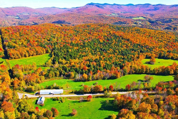 503 GOLF COURSE RD, RICHFORD, VT 05476 - Image 51f1f5ef0fc3afaa977fc9d2e3a126c0/1712436796