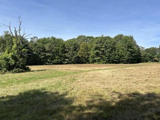 5 MEADERBORO RD 15-4, NEW DURHAM, NH 03855 - Image 53df12e317d7672b46383e73e8ea6864/2446291780