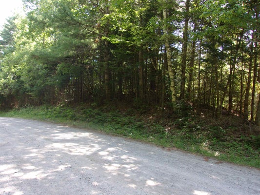97 HAVERHILL LN, WOODSVILLE, NH 03785 - Image 68a80e5e6de6d7cc4767e74406a2bb13/3200653174