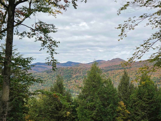 2925 RIVER ROAD, DUXBURY, VT 05671 - Image 6c7bd393b12c0903da2ef5ecd7d03003/347403754