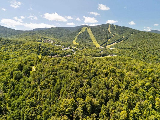 1 VALLEY PARK, KILLINGTON, VT 05751 - Image 6fef4eaf3b72697b6f1fcc2328b61e98/4032143829