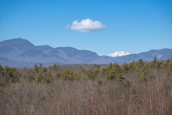 2 MOULTONBORO NECK RD, MOULTONBOROUGH, NH 03254 - Image 77c000ffce99c1a4818d0ab25ef0cf8d/1216473327