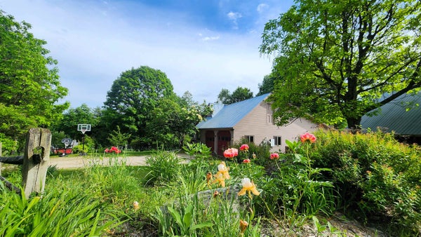 97 STEWART LN, SHREWSBURY, VT 05738 - Image 77d345e06f332d4672deda9ccc0efd7c/1672224218