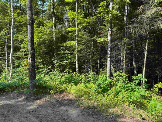 GROTON RD, HEBRON, NH 03241 - Image 78b1a5740f569d69f4df1c60ca2f2c3f/2823793295
