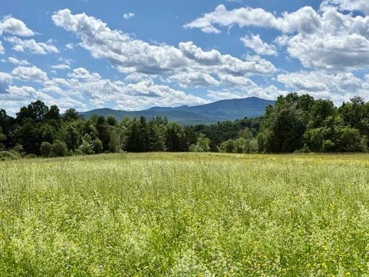 5 BATTLE ROW RD, HYDE PARK, VT 05655 - Image 7bd4f4a61c3a3d37c69ebe8d8e304a2c/408995049