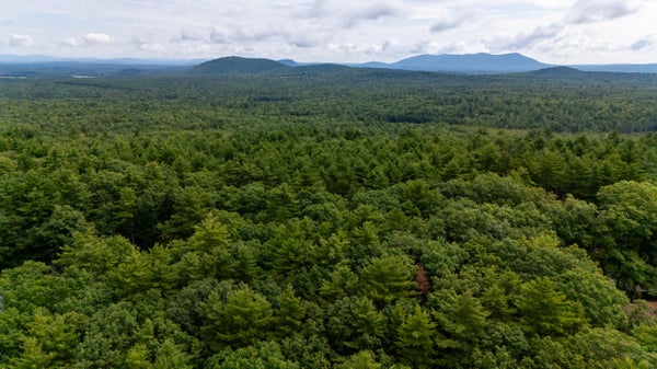 27 DAVIS HILL RD, CENTER CONWAY, NH 03813 - Image 8069b2fbf7f22533c9a926840e12ca2d/2940401916