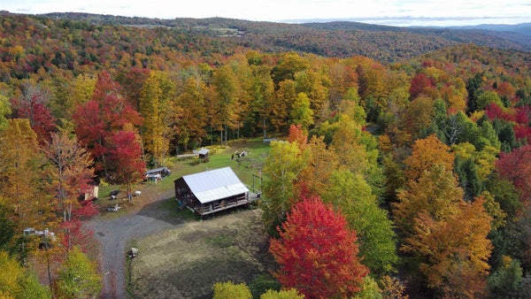 237 UPPER MALONEY RD, RANDOLPH, VT 05060 - Image 8416fec5e48d286b305a243b8abbdcd2/3162406932