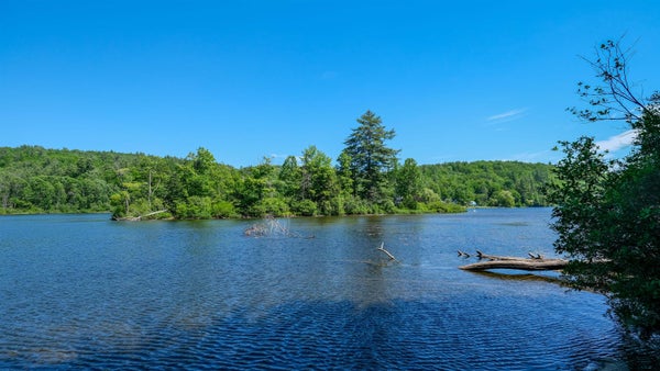78 RD, LUDLOW, VT 05149 - Image 84356f704b9112e7f0bb6fdd23b04d43/2767653203