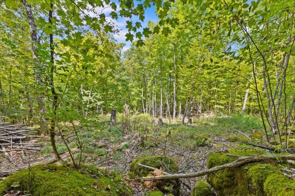 514 RED ROCK RD, COLCHESTER, VT 05446 - Image 89266953eec2dfd1fde1bc3ba5942636/482074028