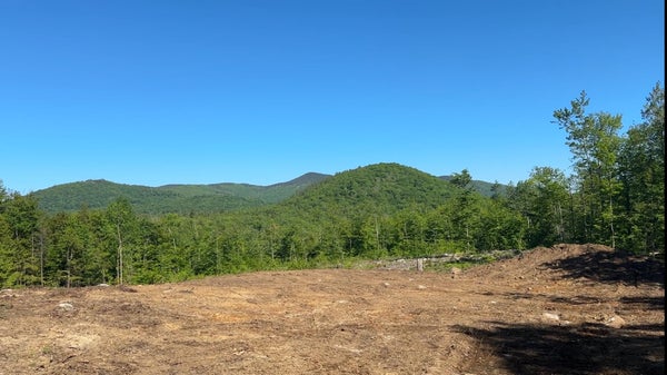 310 OSSIPEE MOUNTAIN RD, CENTER OSSIPEE, NH 03814 - Image 8940e2d6cee4f29a6f0d7433cb443dc5/458285223