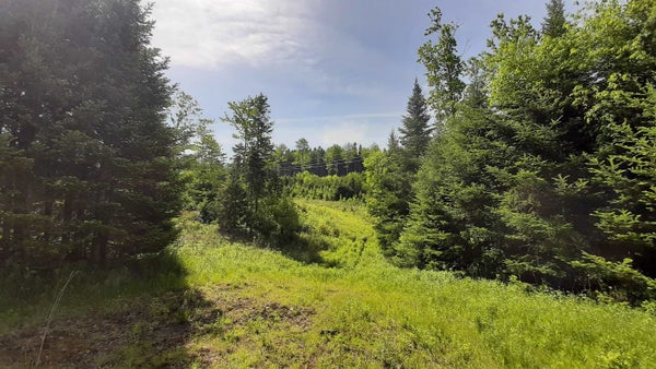 SUMMIT RD, MOUNT HOLLY, VT 05758 - Image 8bcdd3ed3c9f6a071b6089e28f36d4b4/698334519