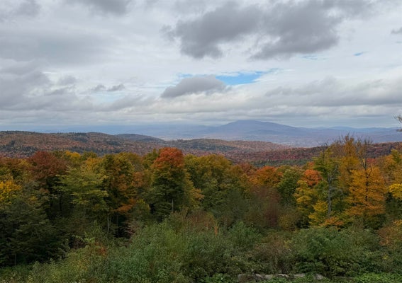 680 GOVERNMENT RD, MOUNT HOLLY, VT 05758 - Image 93e5a3080a062f91a507f5bedfcaafd5/2161548851