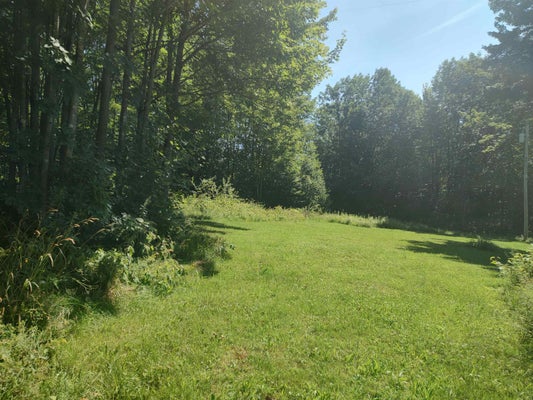 1608 BRAINTREE HILL RD, BRAINTREE, VT 05060 - Image 9402a458ea52b653ef7903fc8ff3e7aa/3362314593