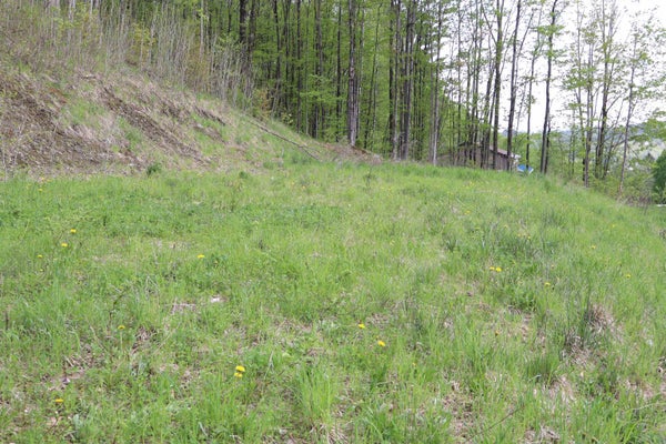 9 MAPLEWOOD AVE LOT 9, BARRE, VT 05641 - Image 9c8a8b2fb2192649ec7708ba71ea8925/2706356510