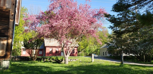 72 DEPOT ST, JAMAICA, VT 05343 - Image 9d1d7853c29e495c5a6b9502a978c44d/1681069779