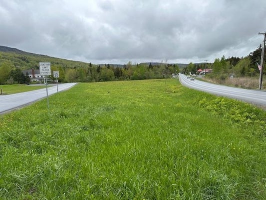 309 VT ROUTE 100, WEST DOVER, VT 05356 - Image 9d64c5ebf4a0cff1ddf14de0c4a493a9/3679672725