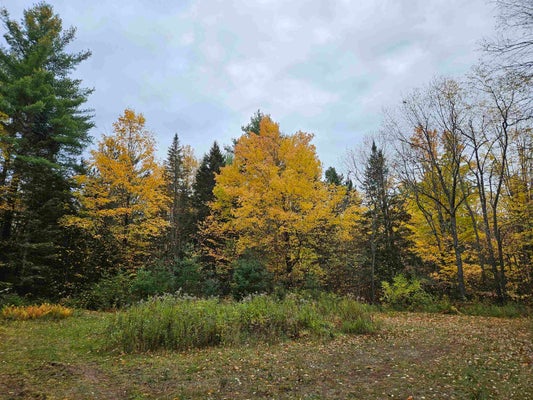 1476 PROFILE RD, FRANCONIA, NH 03580 - Image a26501d0d00a0469480c92cf72423eab/3100360923