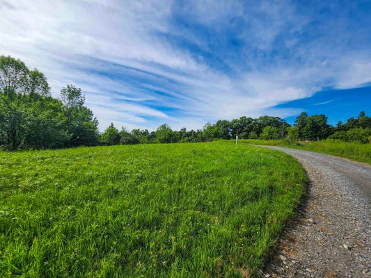 APPLESAUCE HILL RD 3, CASTLETON, VT 05735 - Image a423bc11d29a493b60ffaab4d7e00daa/777292270