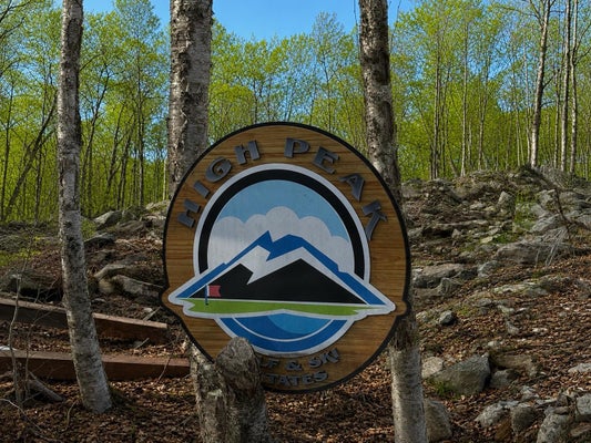 161 HIGH ST, BRATTLEBORO, VT 05301 - Image a5e808e7cf2796cca32d0b0792eda3ca/303782125