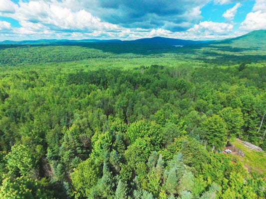 OREGON RD, LUNENBURG, VT 05906 - Image ab5e53fa69cd0943a85dbf442715c7dc/2278661845