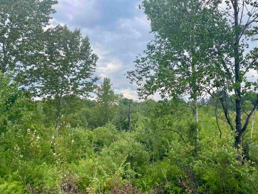 00 GILMAN ROAD, LYNDON, VT 05851 - Image af01834189a11a4eebbbe5b681f0583f/3672292322