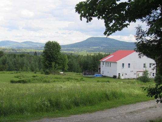 787 DUTTON BROOK LN, BROWNINGTON, VT 05860 - Image af03e5a473cb9c928566fe272bf3bddb/4007303809