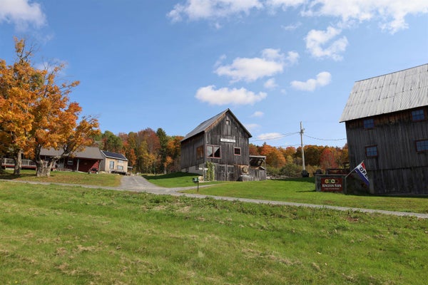 1258 PINKHAM RD, EAST BURKE, VT 05832 - Image afaf2eee8d0ca395c58ba00df7b5902c/217796482