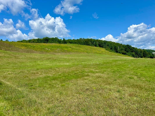 4 ELM ST, RANDOLPH, VT 05060 - Image b1d57ae4fd9b3fb6809cef6e393b06c8/459451220