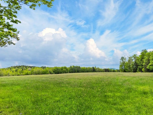 SADDADA RD, WHITINGHAM, VT 05361 - Image b881a588fe13cd6675c2e7d5512daeb7/33207058